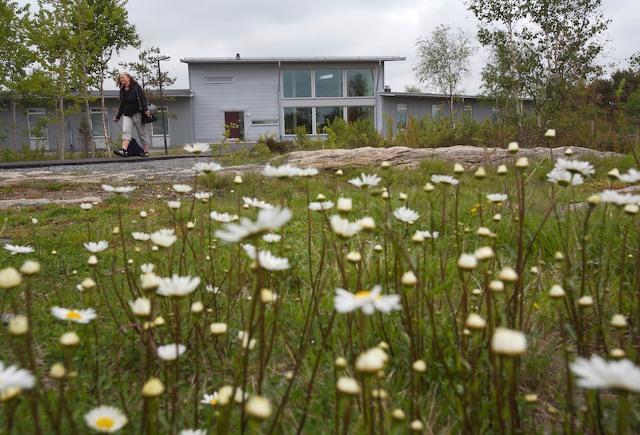 Loeftadalens Folkhoegskola Åsa Exterior photo